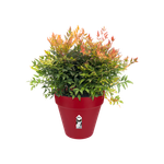 loft urban rond wielen 40cm veenbes rood